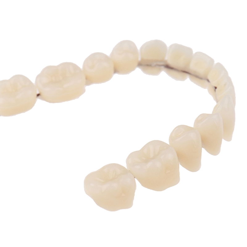 Dentadura de resina, dentadura - Teeth Whitening Mask reseña y precio