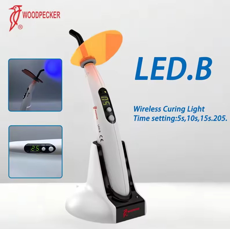 Luz de curado Dental pájaro ca - Teeth Whitening Light reseña y precio